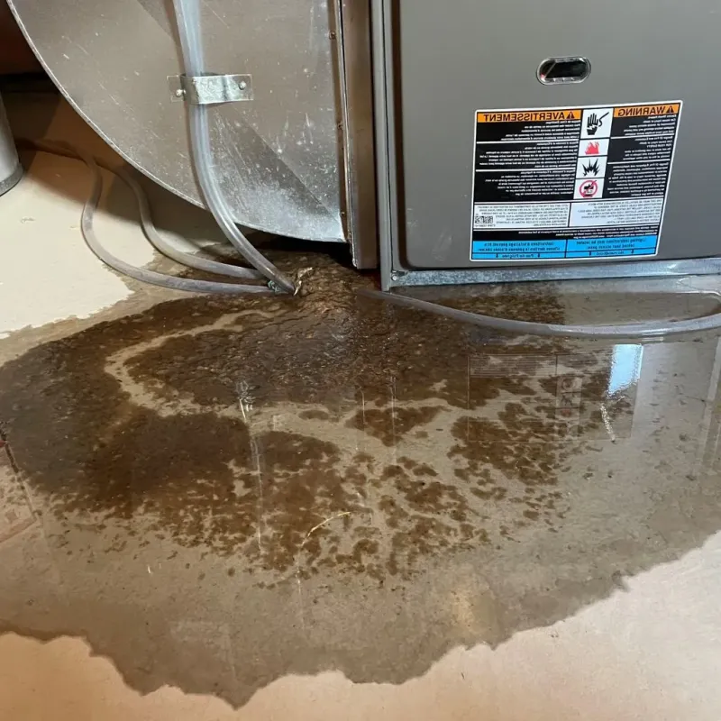 Pipe Burst and Leak Restoration in Hickory Hills, MS