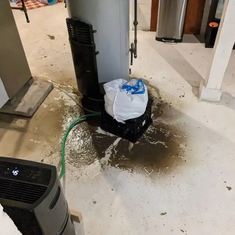 Sewage Backup Cleanup Service in Hickory Hills, MS